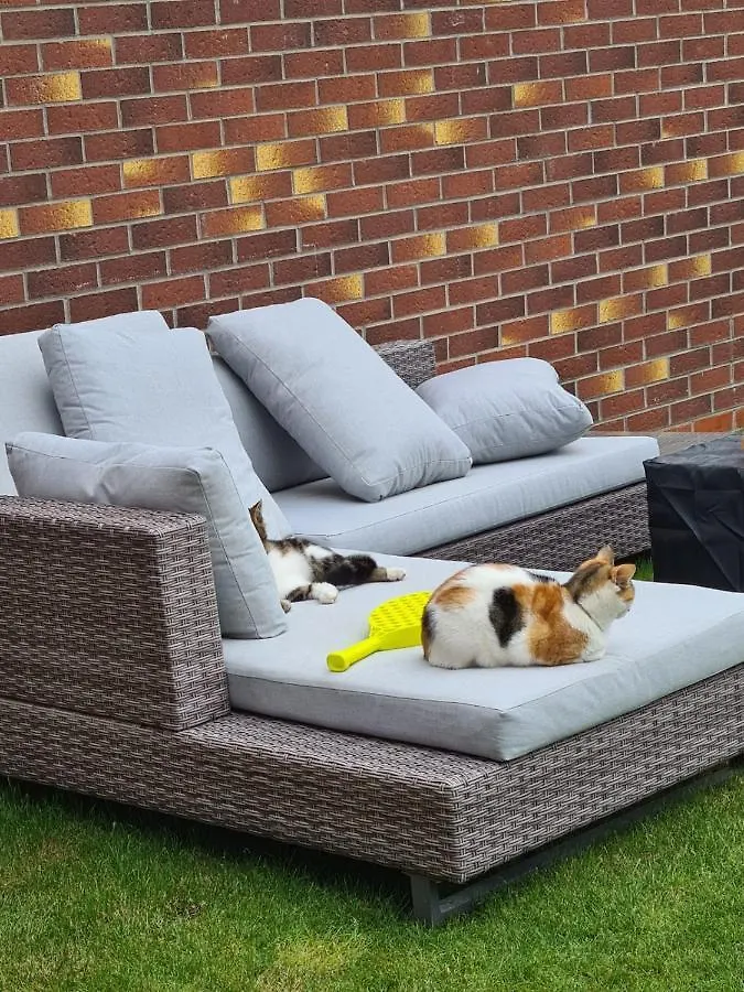 Ria'S B N B Bed & Breakfast Pocklington